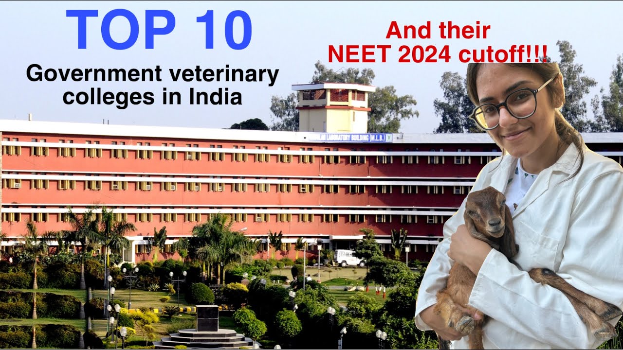 10 лучших государственных ветеринарных колледжей в Индии (и еще несколько) и их рейтинг VCI CUTOF...