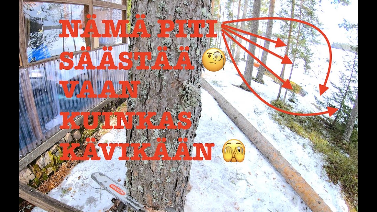 Yritettiinköhän nyt olla jopa liian tarkkoja 🫣. Husqvarna 550xp. 