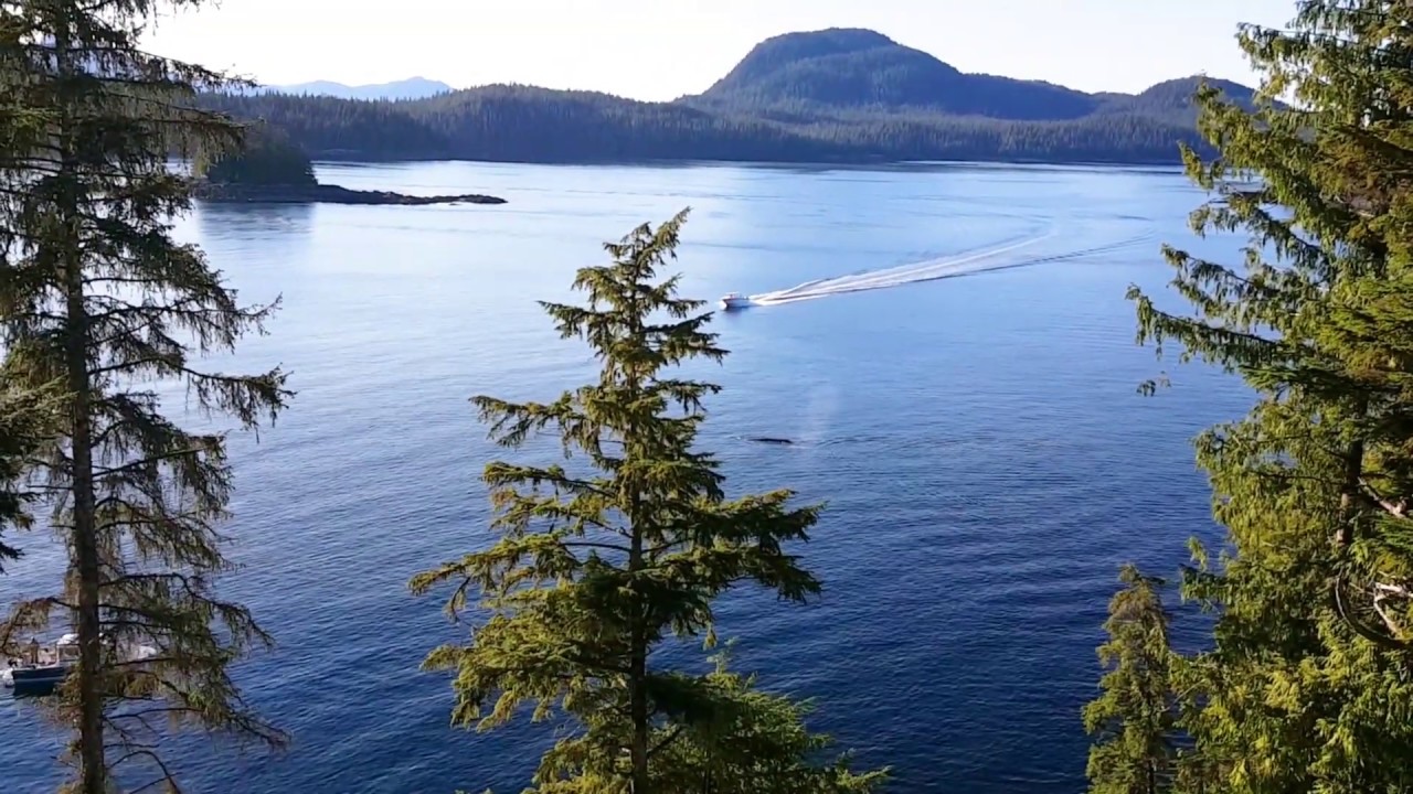 Ketchikan Beach House YouTube