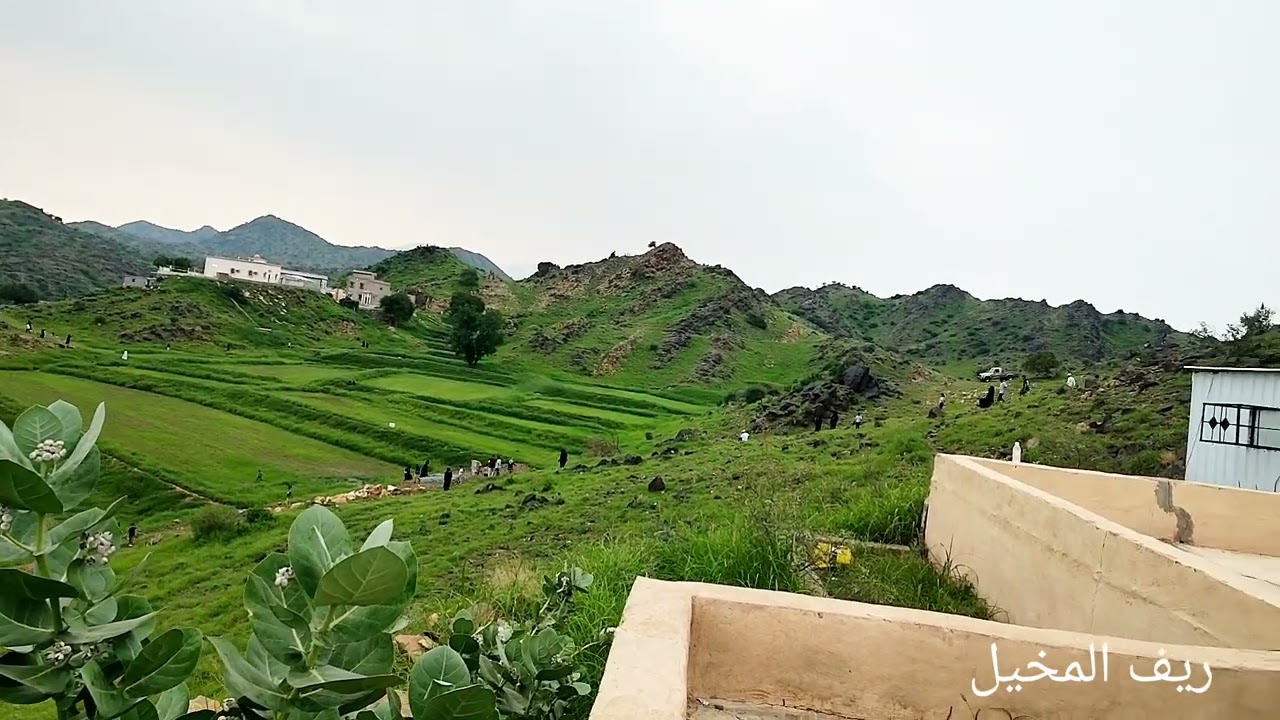 مناظر من ريف المخيل.   محافظة العارضة