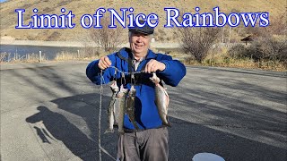 PowerBait and Vintage Fishing Gear to Catch my Limit