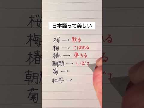 【美しい】花の終わりを示す言葉 #手書き #ボールペン #日本語のサムネイル