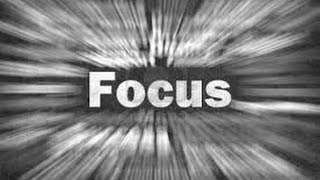 Focus: A Mini Multi-cod Montage