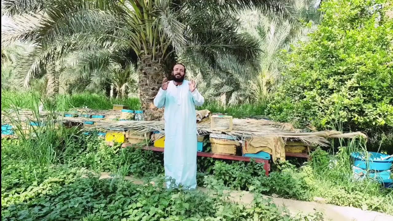 النحل المرزوم والضوابط في بدايه المشروع