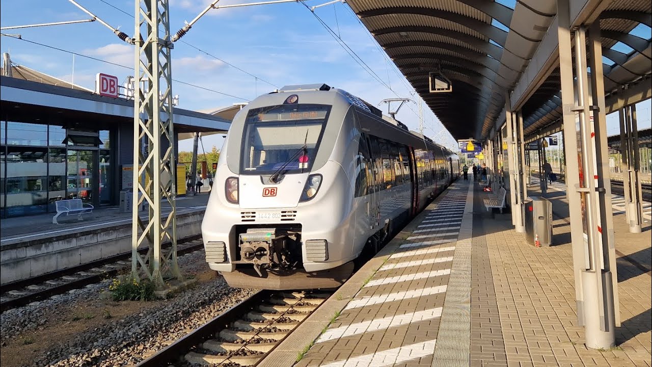 Mitfahrt in der S8 von Jüterbog bis Lutherstadt Wittenberg Hbf in der BR 1442 802