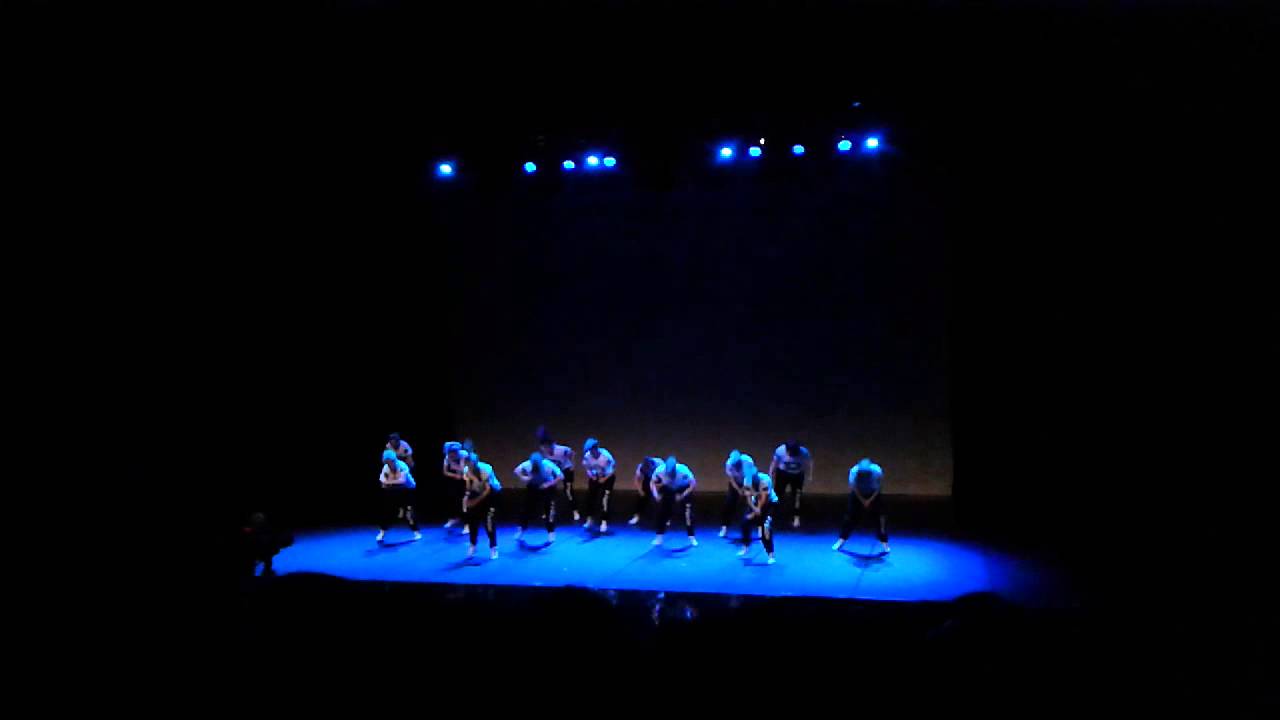 D-Fusion Dansshow 2014