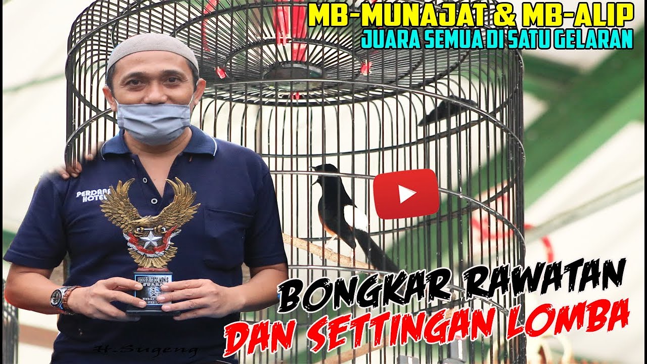 HARIAN STEL RENDAH TANPA JEMUR - DUA AMUNISI H. SUGENG PWT JUARA