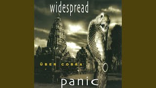 Video thumbnail of "Widespread Panic - Mercy"