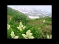 霧子のタンゴ/フランク永井   大川博司(32)【高音質】