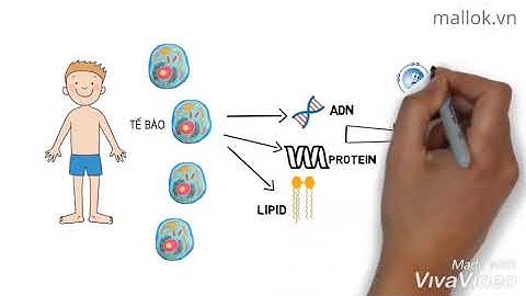 Gốc Tự Do Nguyên Nhân Gây Ra Bệnh Tật Trong Đó Có Ung Thư