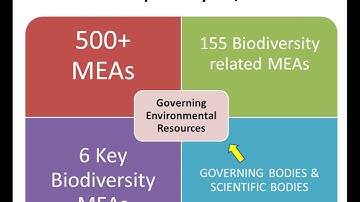 Using Aichi Target 17 and the Post 2010 NBSAPs to Achieve Synergies among Multilateral Agreements
