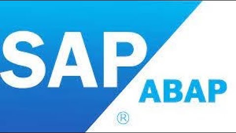 Core ABAP   Part 3 - Role of Abap consultants
