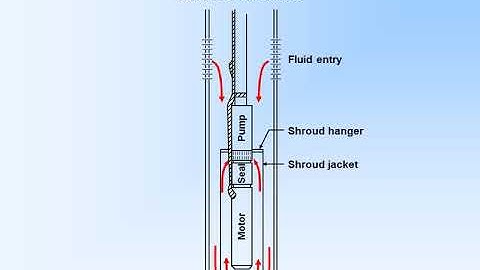 Electric Submersible Pumps