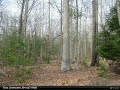 576 Cliffside Ln