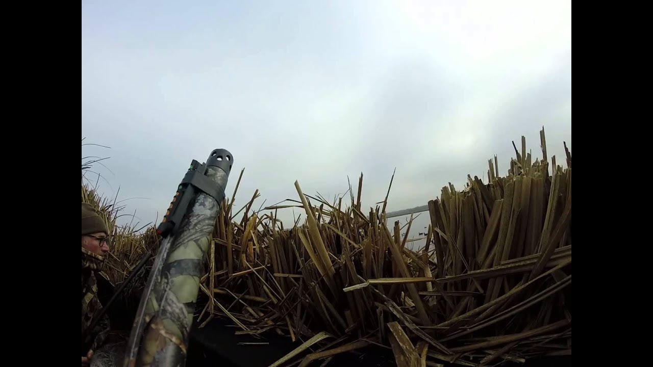 Duck Hunting In North Carolina YouTube duck-hunting-in-north-carolina-youtube