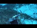 spearfishing adventures #31: Winter in Long Island