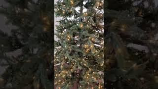 DIY TREE FLOCKING | CHRISTMAS DECOR | MARSH FOREVER #shorts