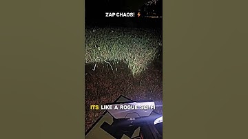 Mosquito Zapper Gone Wild! 😱