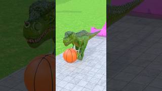 Trex Playing With Basketball | Long Slide Game | Animal Crossing Fountain | Zoova 3D