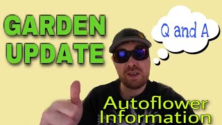 AUTOFLOWER INFO QUESTIONS ANSWERS AND NEW AUTOFLOWER GENETICS GARDEN UPDATE