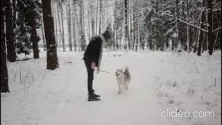 Freedom Dan Lebowitz