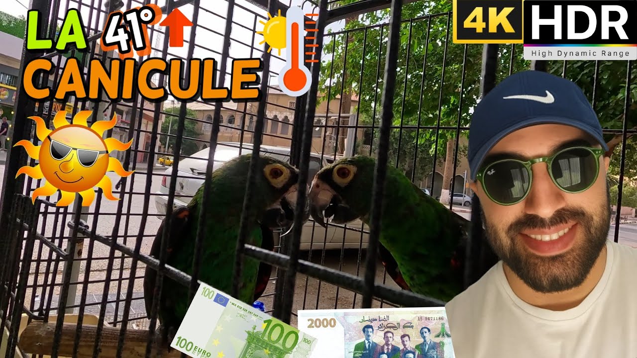 Rouler malgré la fournaise, à SBA Grillé mais motivé ! 41°🌞🚴‍♂️TAUX 1€ = 256 DA #343 #سيدي_بلعباس