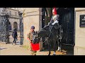 Guard watches horse quit while his horse enjoys a drink and wet rub down at horse guards
