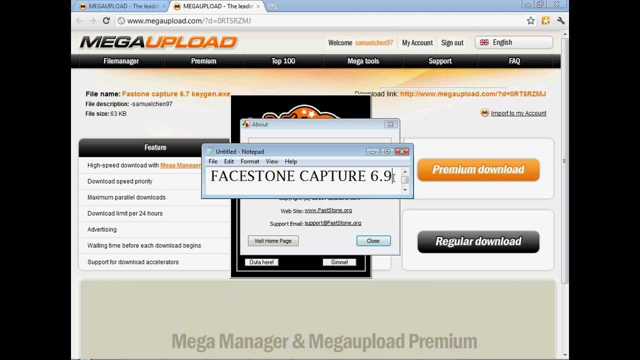 Faststone capture 9.0