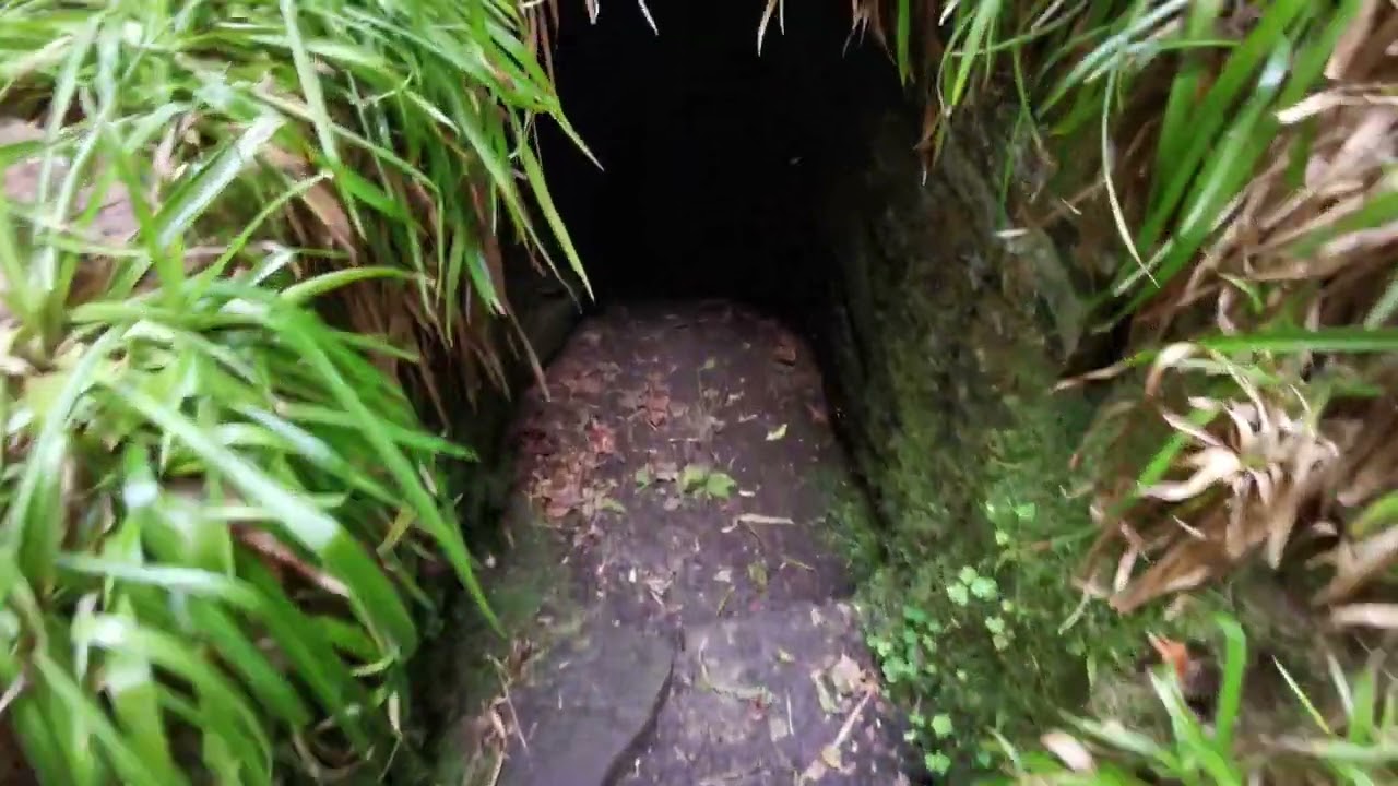 Hartburn Glebe Grotto and Church