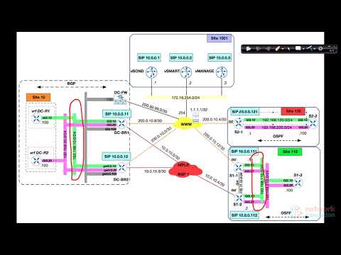 29.SD WAN : VRF Mixing