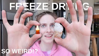 What happens when you freeze dry food? *candy, donuts & more*