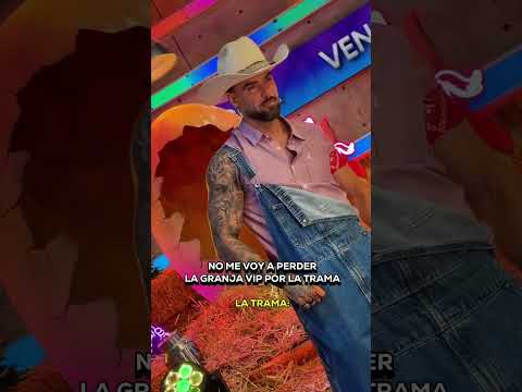Estructura del Programa VIP: Más Allá de los Niveles Básicos