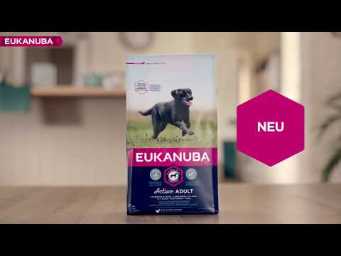 Video EUKANUBA - Hundefutter Active
