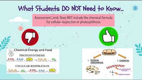 From Molecules to Organisms: Structures & Processes - Human Body Q1