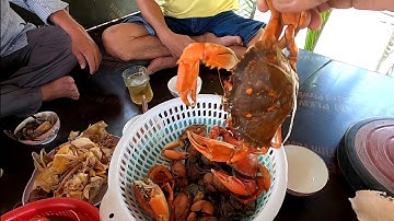 Mò Tôm Càng Bắt Dộp Cùng Mấy Chú Xuống Chơi / Đạt Nguyễn Cần Giờ