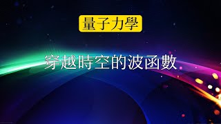 穿越時空的波函數：維格納的朋友和薛定諤的貓