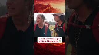 L'isola di Java è un girone infernale #reaction #pechinoexpress #step @pechinoexpress @skyitalia