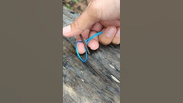 Easy one hand string line hitch. #knots #shorts