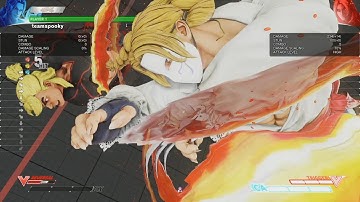 Street Fighter V BETA - Messing Around in Training Mode w/ Vega