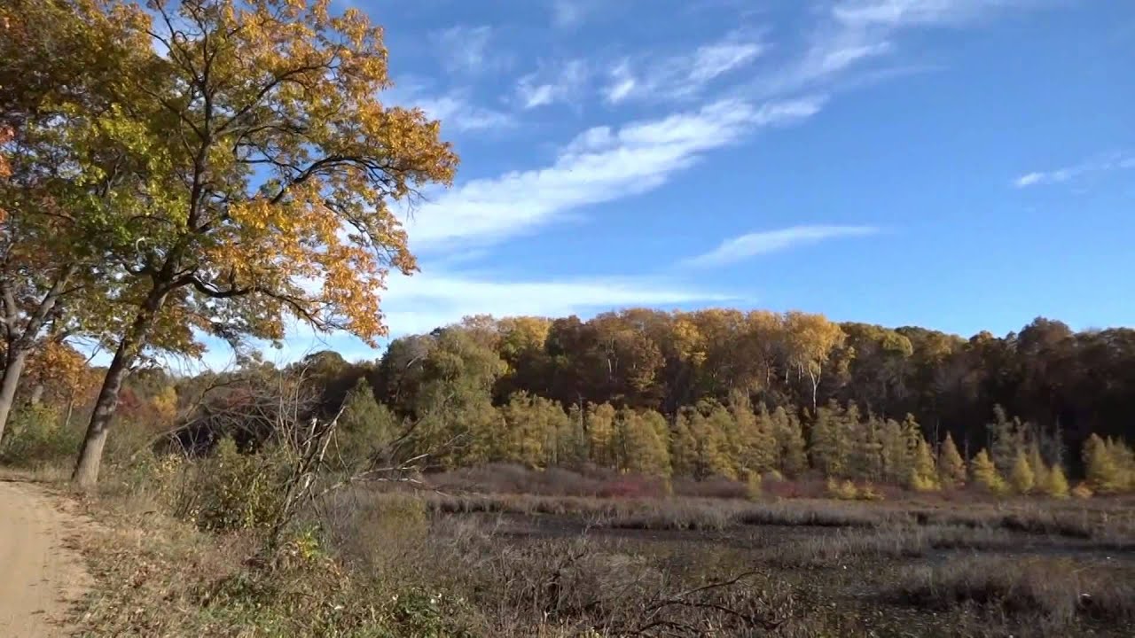 Autumn Beauty Glenn Road in Grass Lake, Michigan YouTube