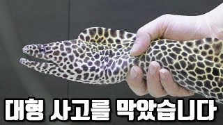 곰치의 대형사고를 막기위해 3일동안 준비했습니다!! [해수인TV]