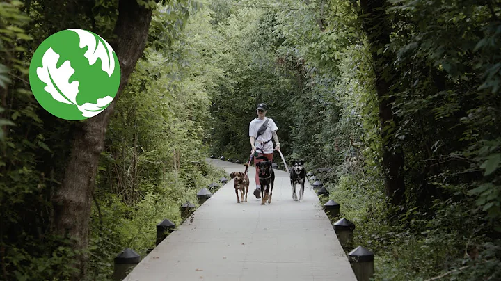 D.C.'s Public Lands Benefit Dogs and People: Mission Possible