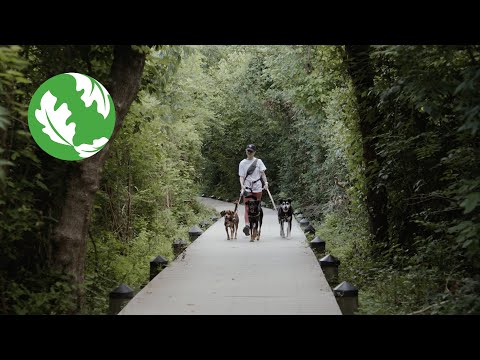 D.C.'s Public Lands Benefit Dogs and People: Mission Possible