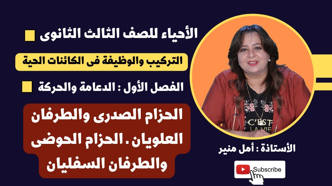 الأحياء للصف الثالث الثانوي |  الحزام الصدرى والطرفان العلويان ـ الحزام الحوضى والطرفان السفليان