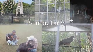 Unexpected Talent In The Park Singing & Guitar At Rakh Bagh Vlog Nature Walk,Birds &