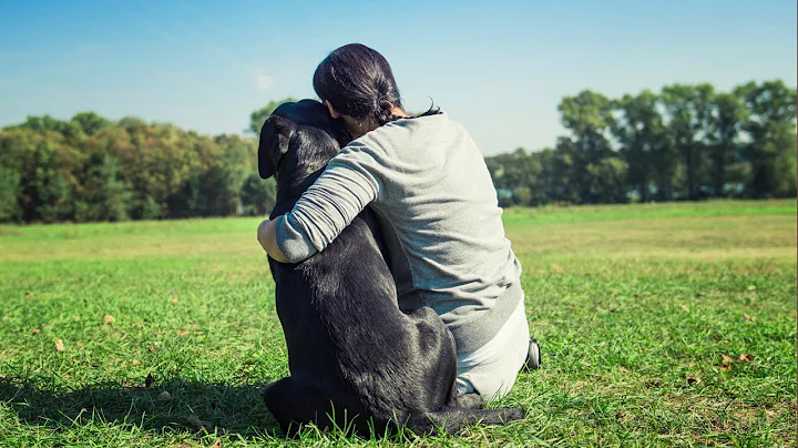 Strays Like Us by Cecilia Galante