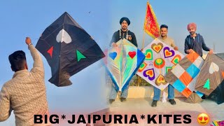 Flying big *JAIPURIA* kites 😍 sunday special 🔥|| ASG FILMS