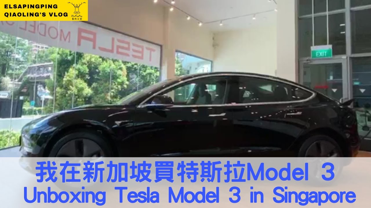 Tesla Model 3 unboxing in Singapore Vlog 新加坡特斯拉Model 3 開箱文【ElsaPingPing ...