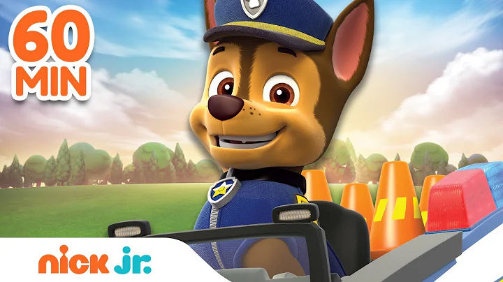 PAW Patrol Chase Is On the Case Rescues! w/ Skye &...