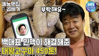 The tall guy solved this problem. 450 tons of Haenam's king sweet potatoes. [Delicious_Rendezvous]